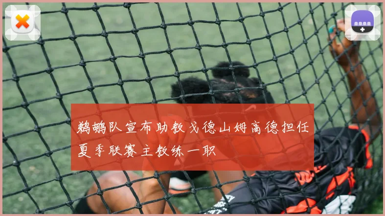 鹈鹕队宣布助教戈德山姆高德担任夏季联赛主教练一职