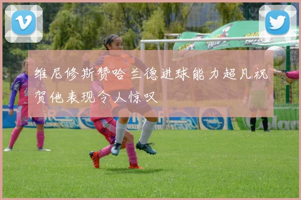 维尼修斯赞哈兰德进球能力超凡祝贺他表现令人惊叹
